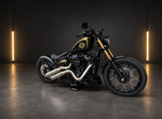 Harley Davidson Softail 48.2