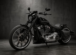 Harley-Davidson Softail Breakout 114 FXBRS Chopper / Cruiser