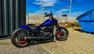 Performance Softail