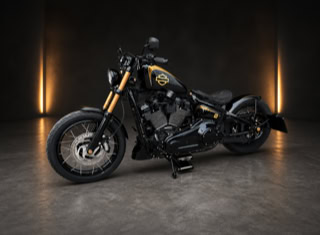 Harley Davidson Softail 48.2