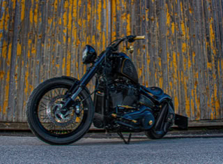 Harley Davidson Softail Betty