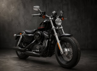 Harley-Davidson XL 1200 Chopper / Cruiser